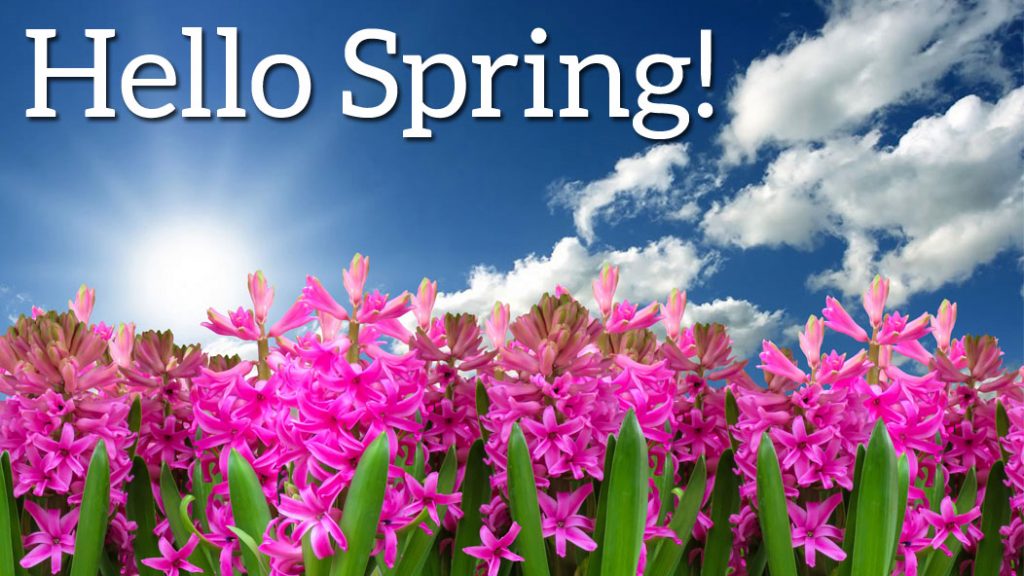 Happy First Day of Spring!