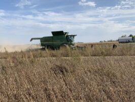 Seed destructor attached to combine.