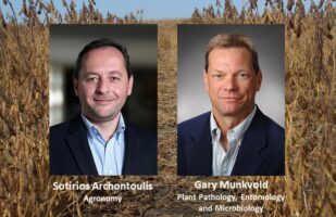 Iowa State University scientists Sotirios Archontoulis, agronomy, and Gary Munkvold, plant pathology, entomology and microbiology, whose projects have been selected for Iowa Soybean Research Center funding.