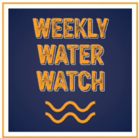 Water-Watch-Logo