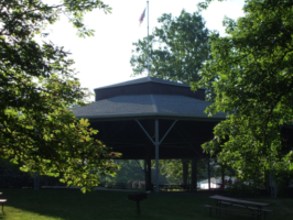 Boone Parks Department Dead Tree Removal Day Thursday