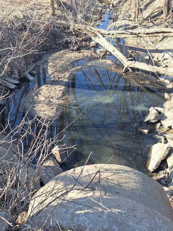 20250327-094834_crop