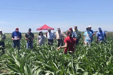 d3925f2c-344a-cbf0-64db-8b3e4b95ec65