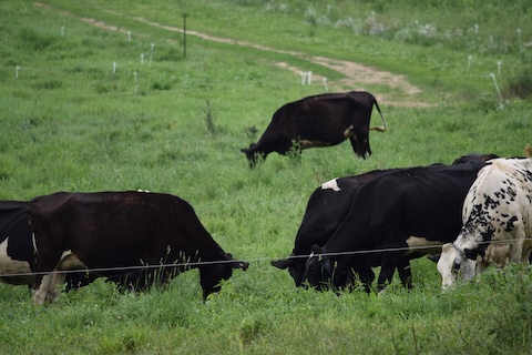 24b97e6d-4451-61cd-1795-447871aeb3ad