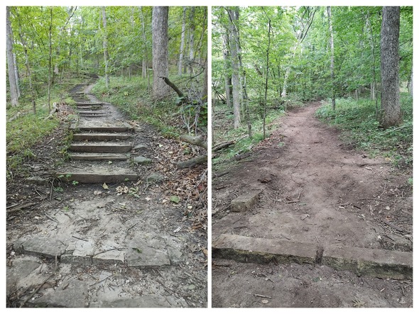 img-20240803-082508263-collage_crop