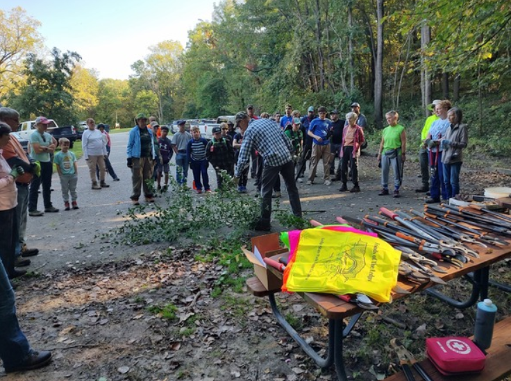 2025 10 01 NPLD Ledges