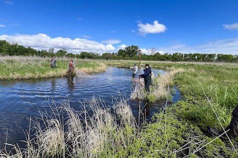 f4a7d540-2c28-c4be-9cc5-2b7762676f00