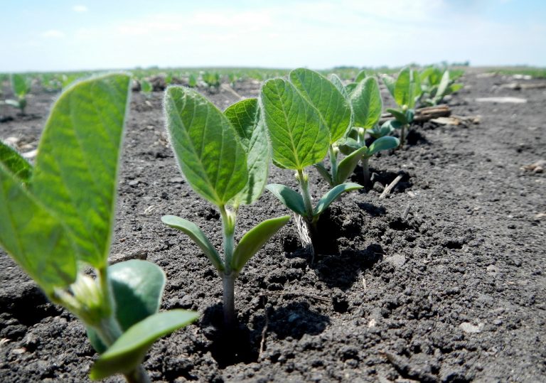 010028a3953bada90c40e588b9d2e283